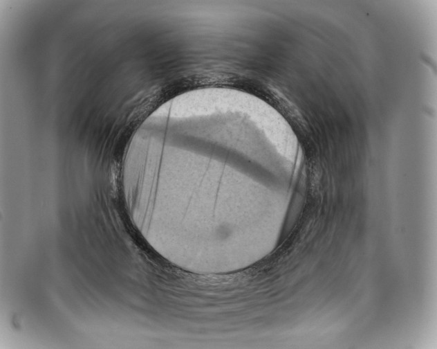 X0000097830026200804111050