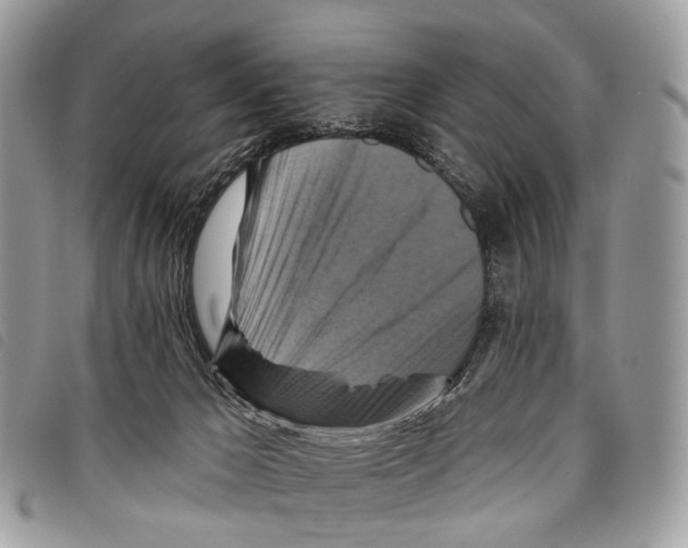 X0000097830029200804111050