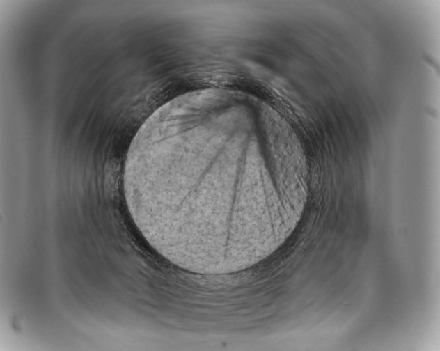 X0000097830030200804111050