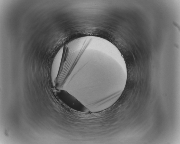 X0000097830031200804111050