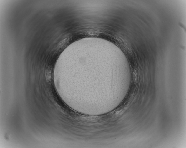 X0000097830032200804111050