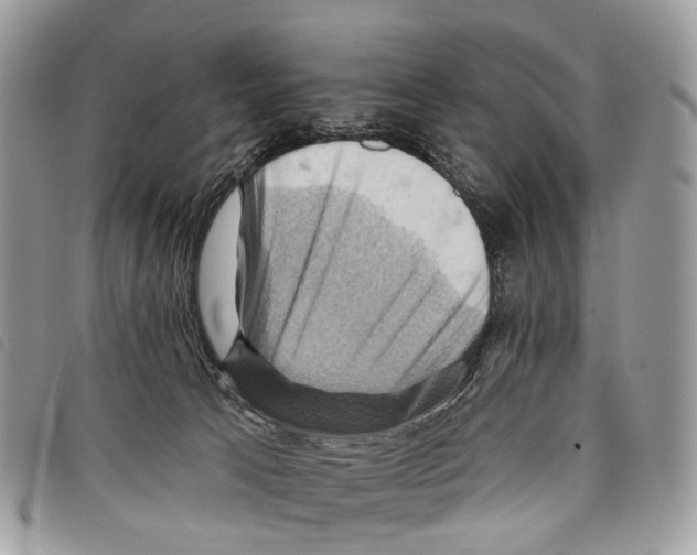 X0000097830033200804111050