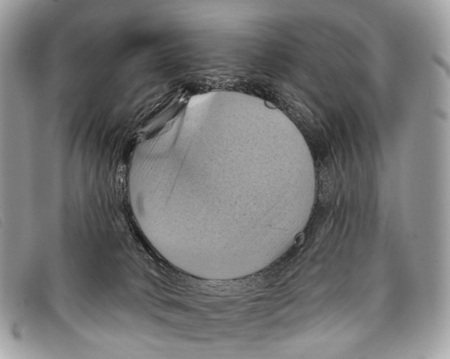 X0000097830034200804111050