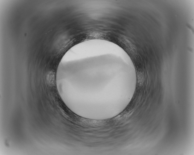 X0000097830036200804111050