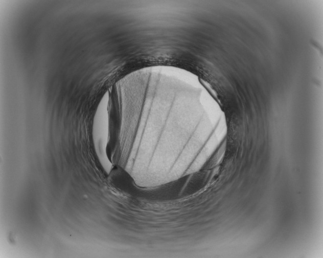 X0000097830037200804111050