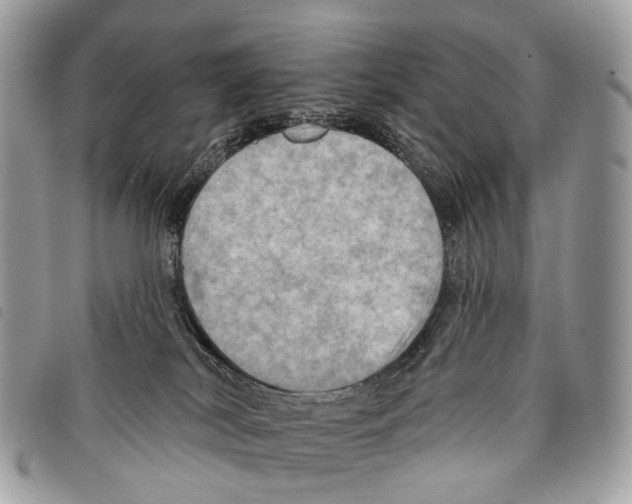 X0000097830038200804111050