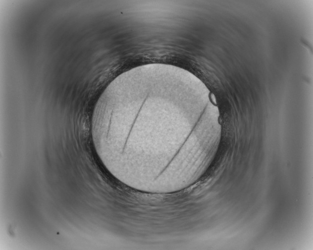 X0000097830040200804111050