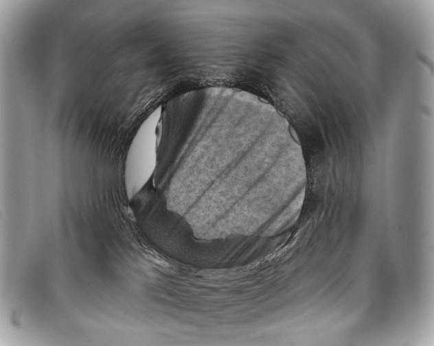 X0000097830041200804111050