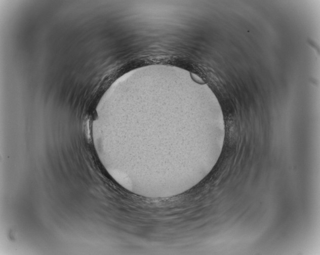 X0000097830042200804111050