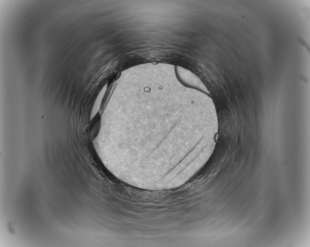 X0000097830044200804111050