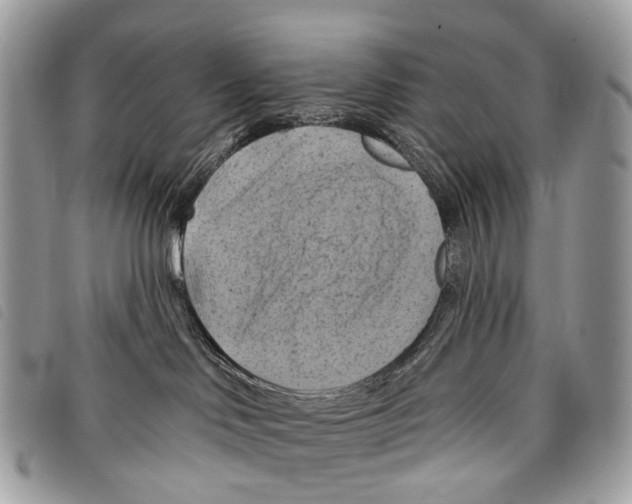 X0000097830046200804111050