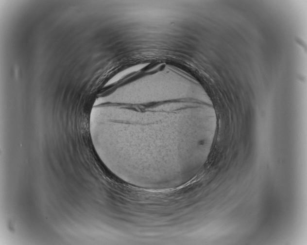 X0000097830048200804111050