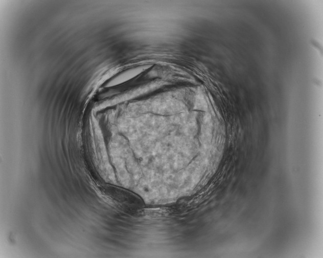 X0000097830050200804111049