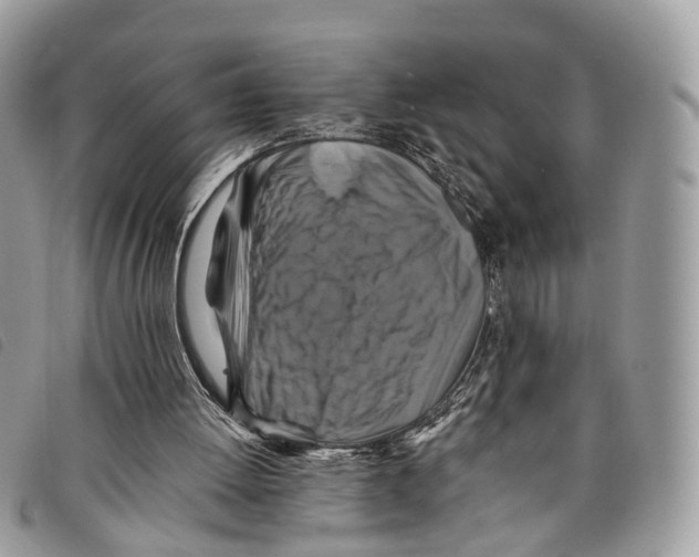 X0000097830052200804111049