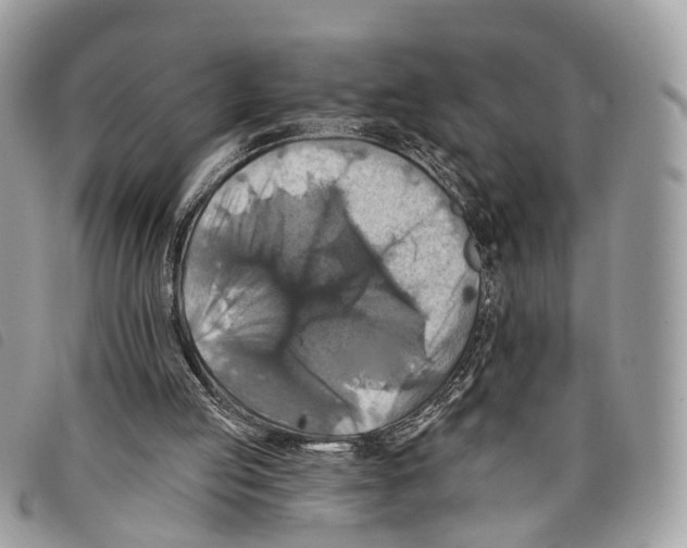 X0000097830053200804111049