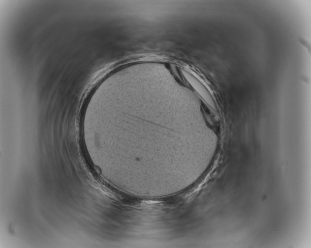 X0000097830055200804111049