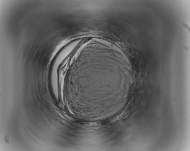 X0000097830056200804111049