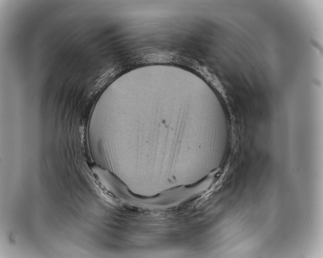 X0000097830057200804111049