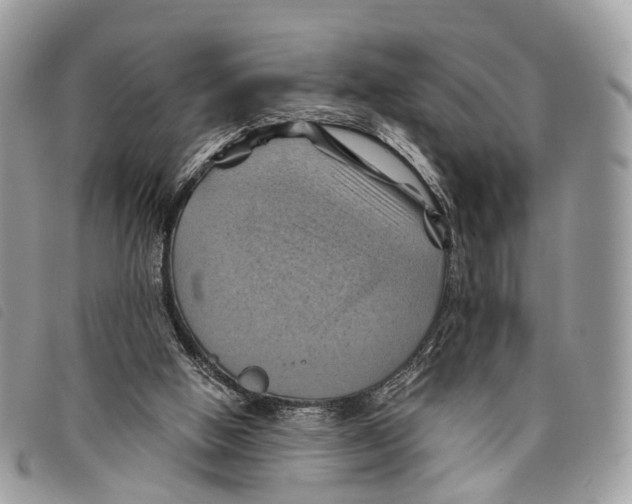 X0000097830058200804111049