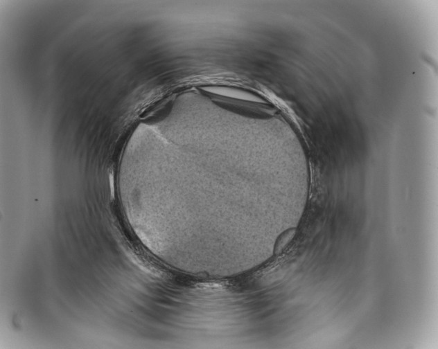 X0000097830061200804111049