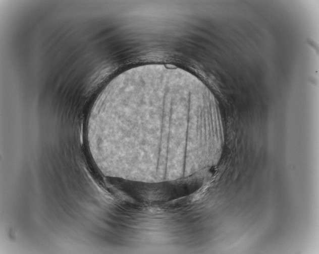 X0000097830062200804111049