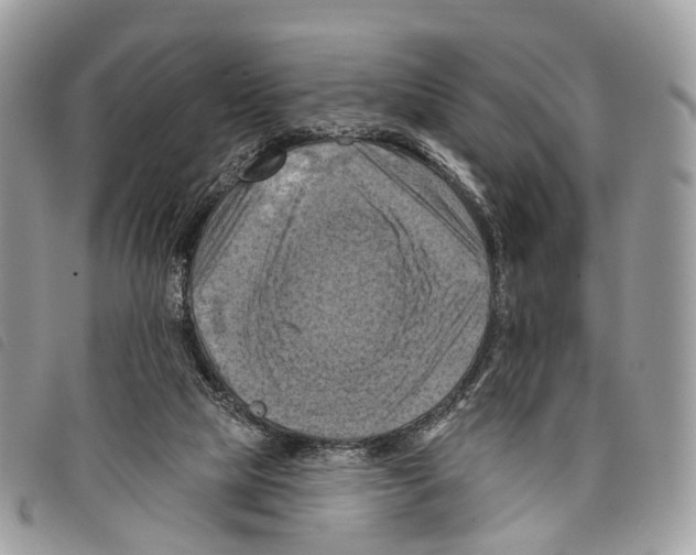 X0000097830065200804111049