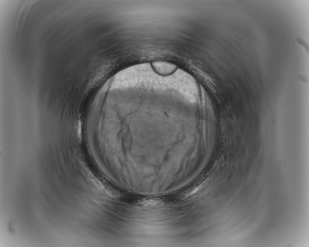 X0000097830067200804111049