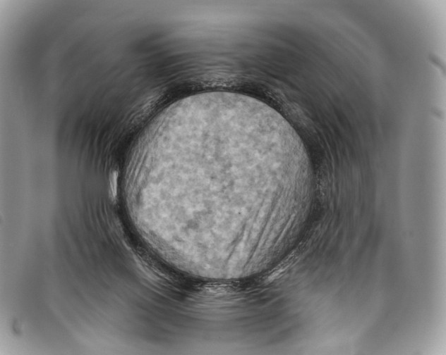 X0000097830070200804111049