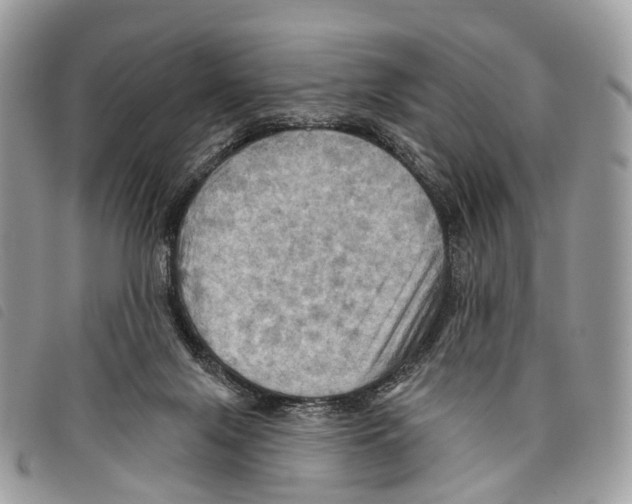 X0000097830071200804111049