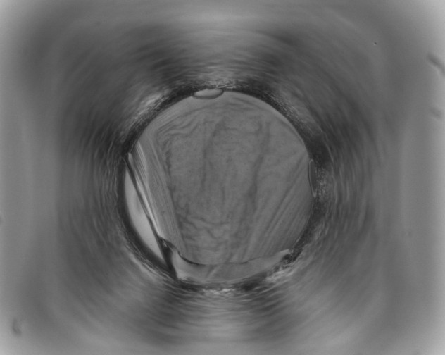 X0000097830072200804111049