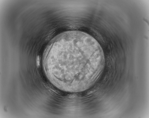 X0000097830075200804111049