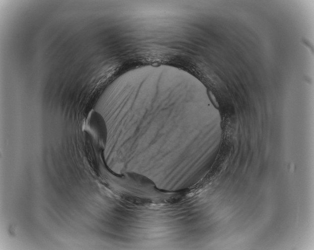 X0000097830076200804111049