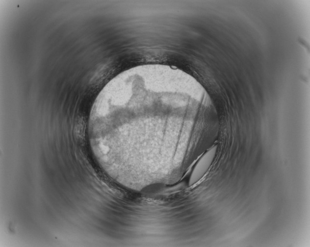 X0000097830078200804111049