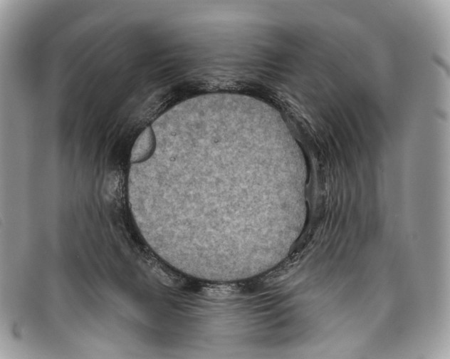 X0000097830079200804111049