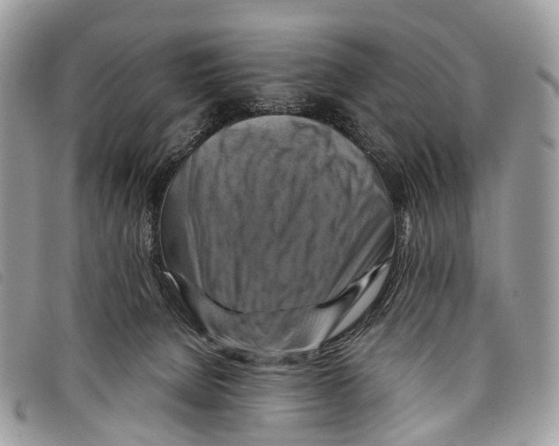 X0000097830080200804111049