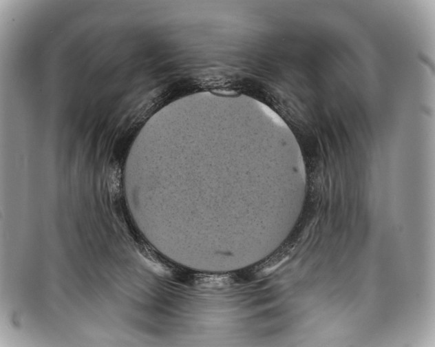 X0000097830081200804111050