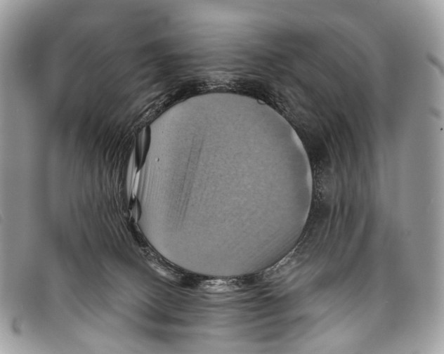 X0000097830082200804111050