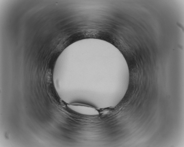 X0000097830083200804111050