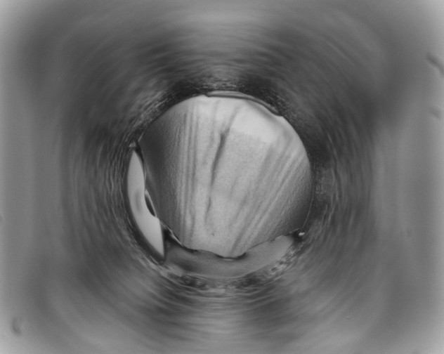 X0000097830084200804111050