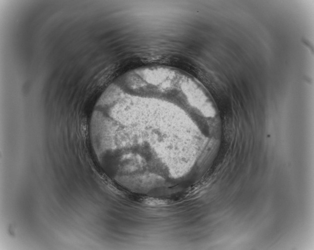 X0000097830085200804111050