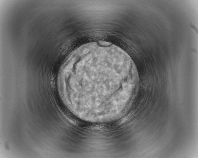 X0000097830086200804111050