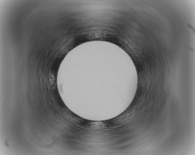 X0000097830087200804111050