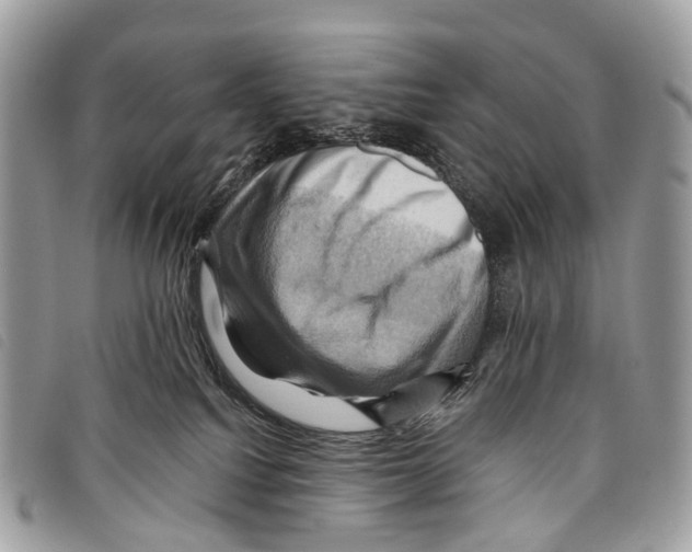 X0000097830088200804111050