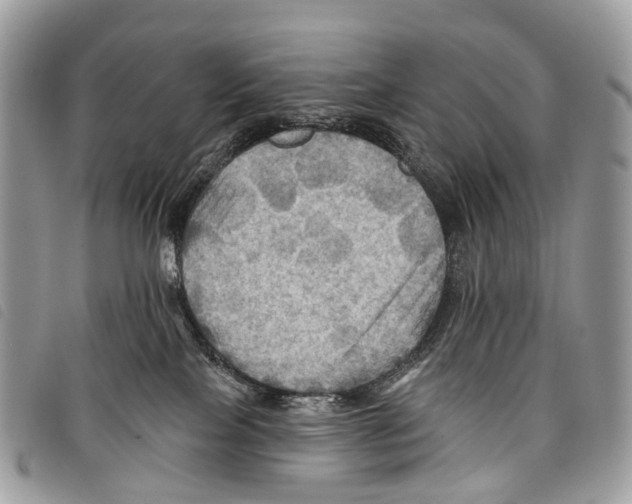 X0000097830089200804111050