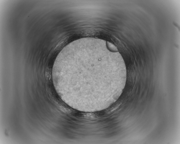 X0000097830091200804111050