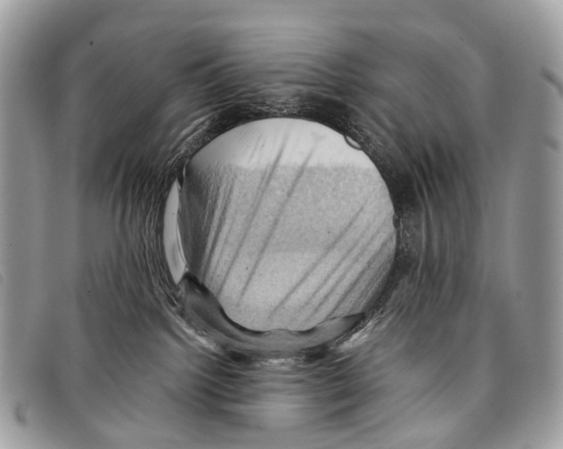 X0000097830092200804111050