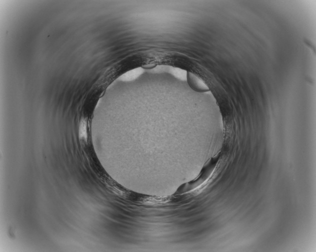 X0000097830094200804111050