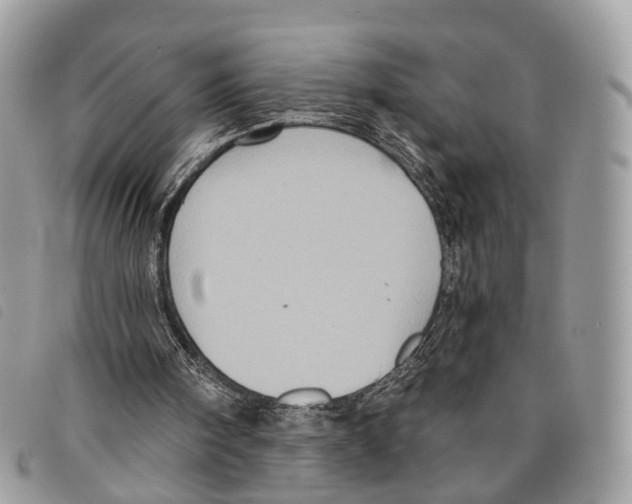 X0000097830098200804111049