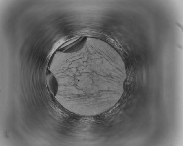 X0000097830099200804111049