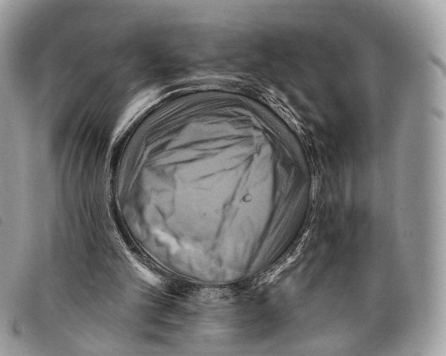 X0000097830101200804111049